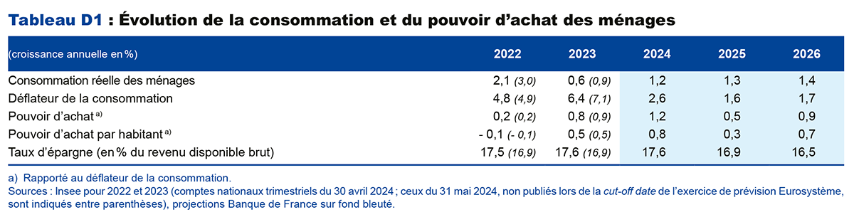 Tableau D1 : Évolution de la consommation et du pouvoir d'achat des ménages 