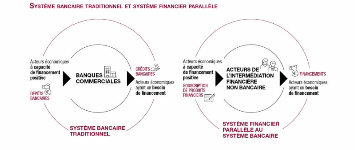 Système bancaire traditionnel et système financier parallèle