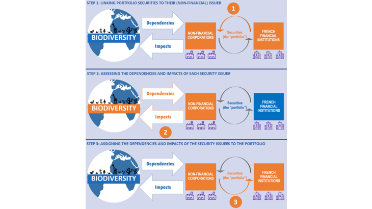 Chart 2: Methodology for assessing portfolio impacts and dependencies Source: Authors, based on Svartzman et al. (2021) Note: 3 main steps: linking securities holdings to their non-financial issuers; assessing issuers' dependencies and impacts; and attributing these impacts and dependencies to the portfolio.