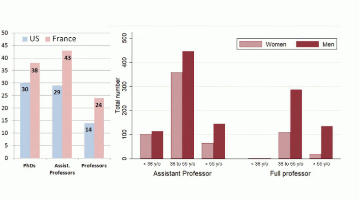 Proportion of female assistant professors (AP) and full professors (FP) by university discipline, 2016-17