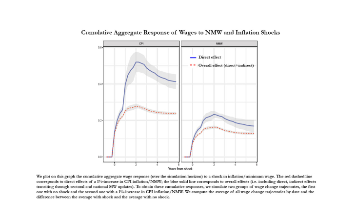 Do Minimum Wages Make Wages More Rigid? Evidence from French Micro Data