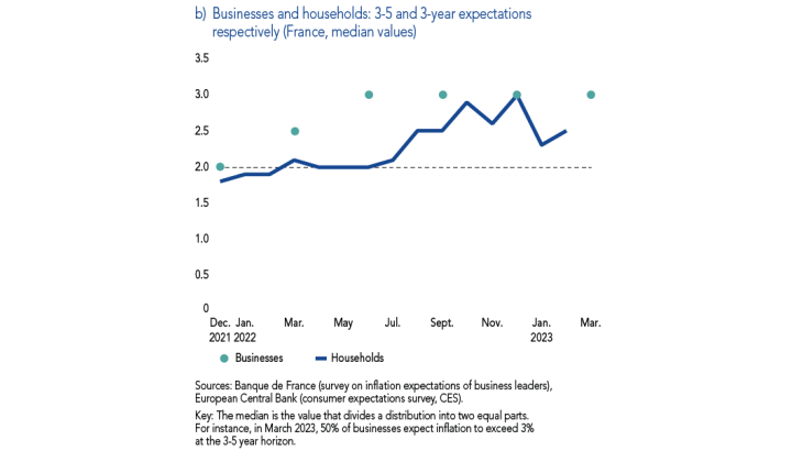Businessses and households : 3-5 and 3 year expectations respectively ( France, median values)