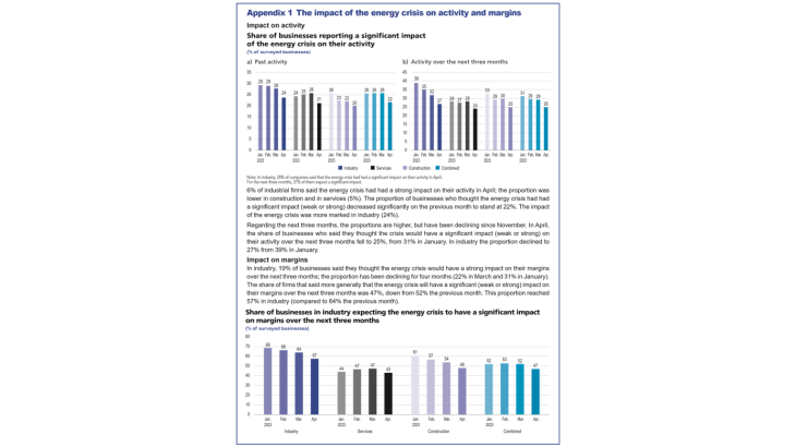 EMC May 2023 Appendix 1 : The impact of the energy crisis on activity and margins