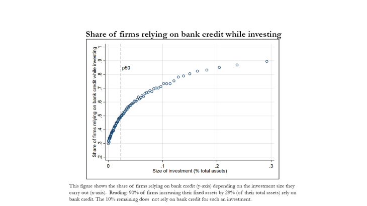 Share of firms relying on bank credit while investing