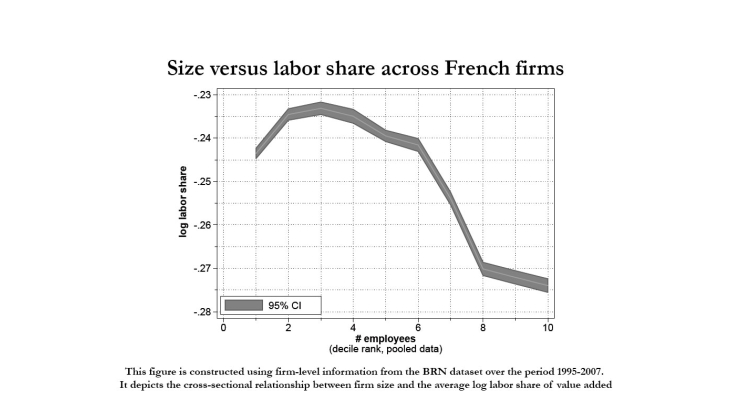 Size versus labor share across French firms