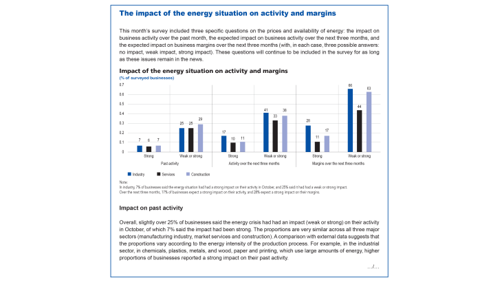 The impact of the enrergy situation on activity and margins