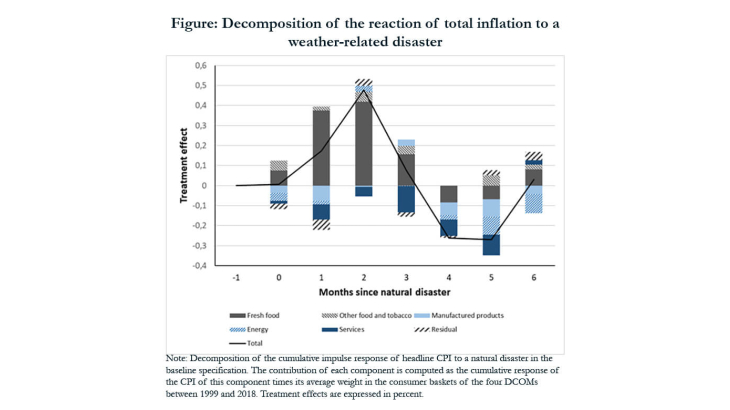 Decomposition of the reaction of total inflation to a weather-related disaster
