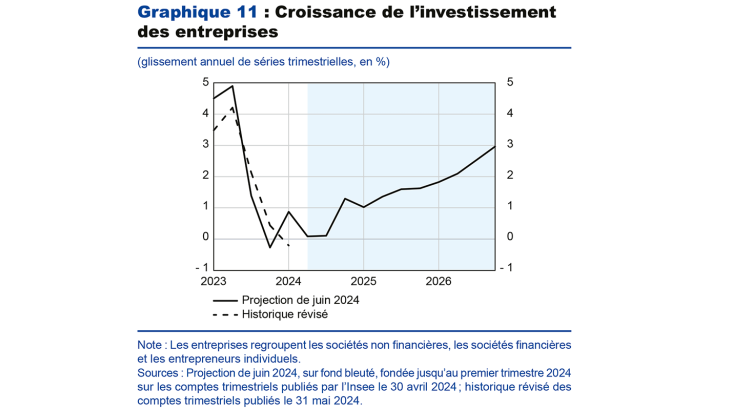 Graphique 11 : Croissance de l'investissement des entreprises